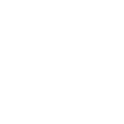 FiberHome